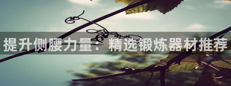 tpwallet官网下载:提升侧腰力量:精选锻炼器材推荐