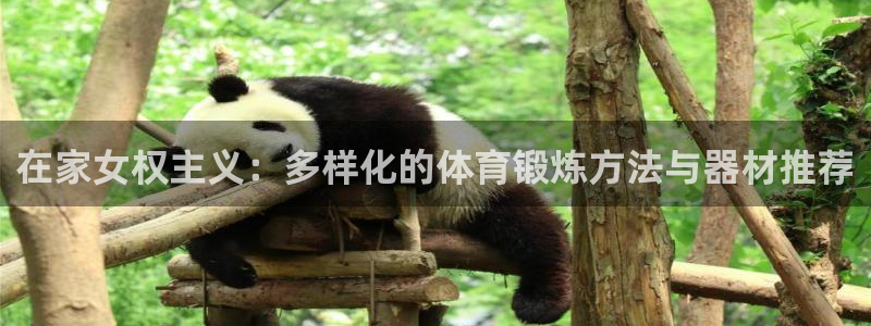 tpwallet官网下载官方客服电话:在家女权主义:多样化的